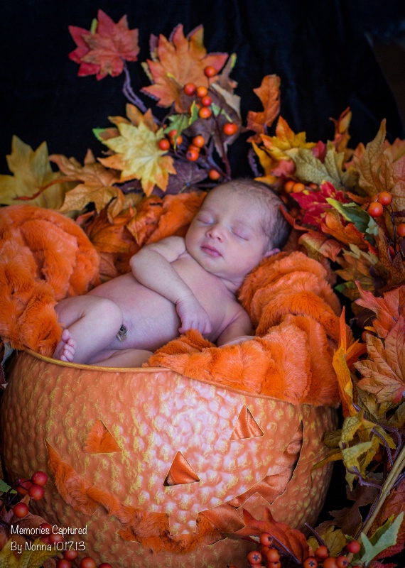 Pumpkin Baby 