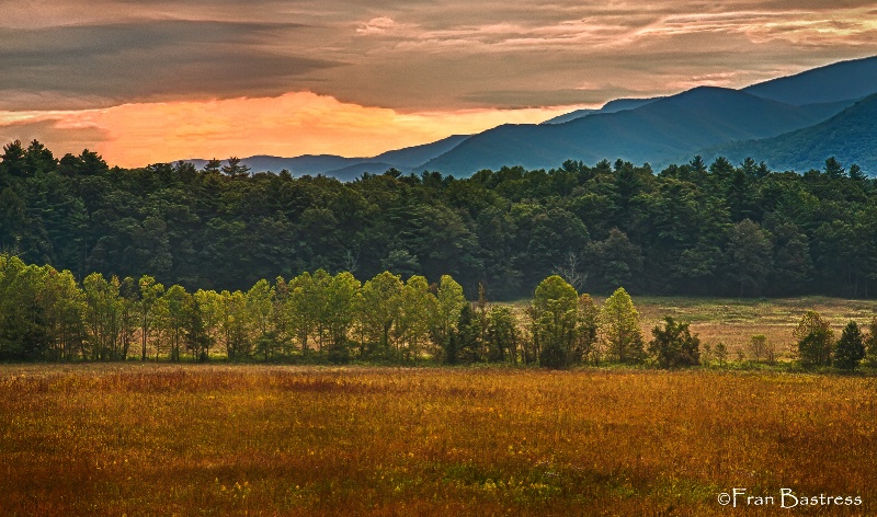 Smoky Mountains National Park - ID: 14206041 © Fran  Bastress