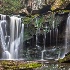 2Elakala Falls, West Virginia - ID: 14209209 © Fran  Bastress