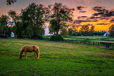 Kentucky Sunset