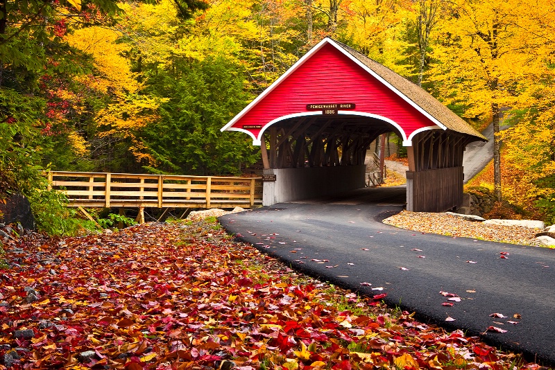 Covered in Fall Colour 