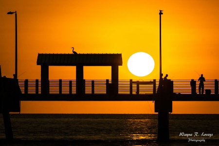 Fishing at Sunset