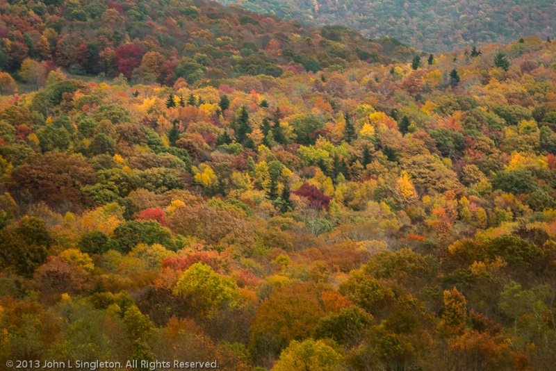 Fall in Virginia High Country - ID: 14213420 © John Singleton