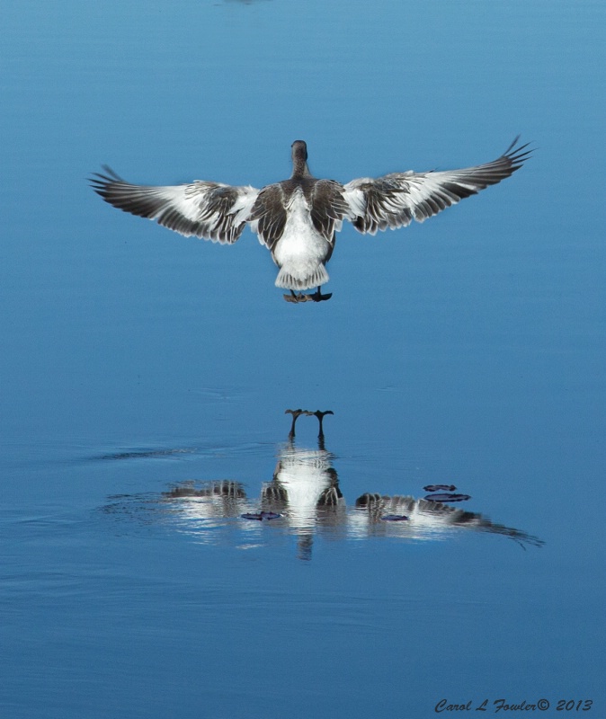 The Landing