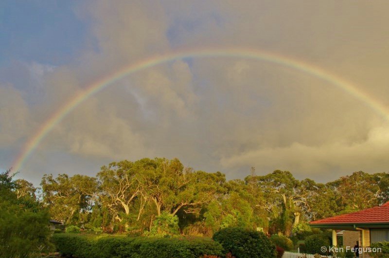 Rainbow in our garden
