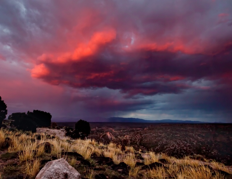 New Mexico Skies