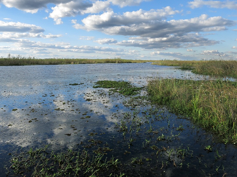 Clouds over Iberá marshes