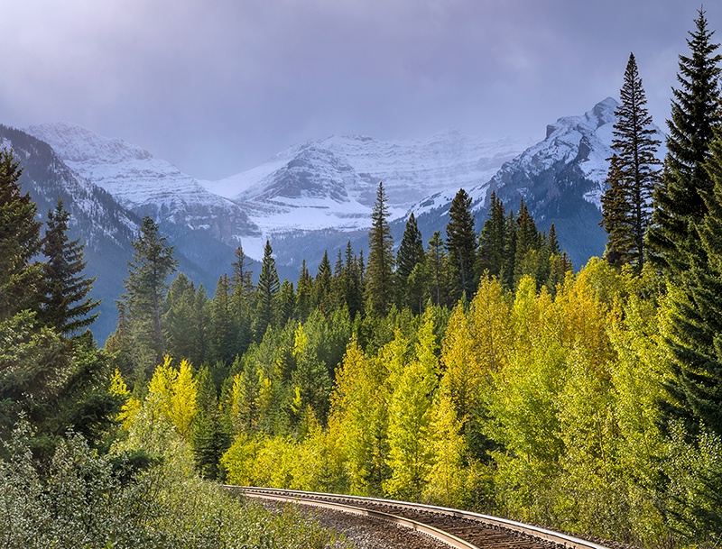 Light On The Tracks