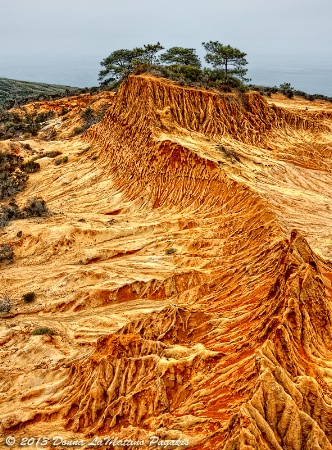 Broken Hill Torrey Pines