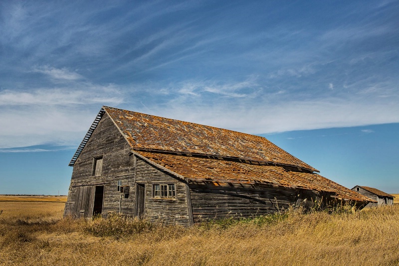 Steadfast On The Prairie