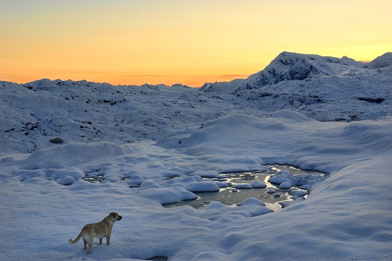 Reina, New Snow & Sunset