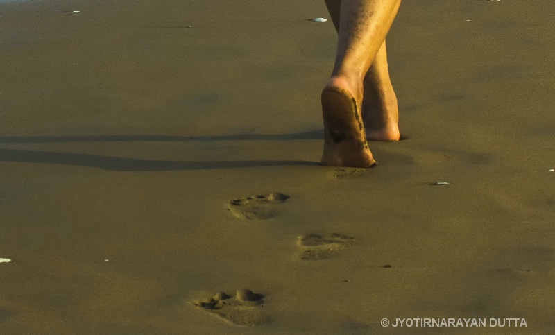Leaving behind the footprints