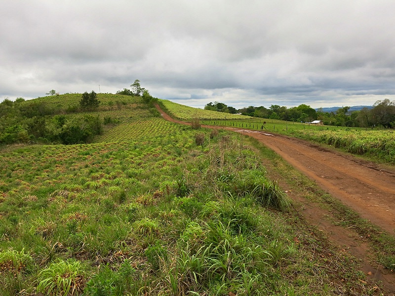 Rural road