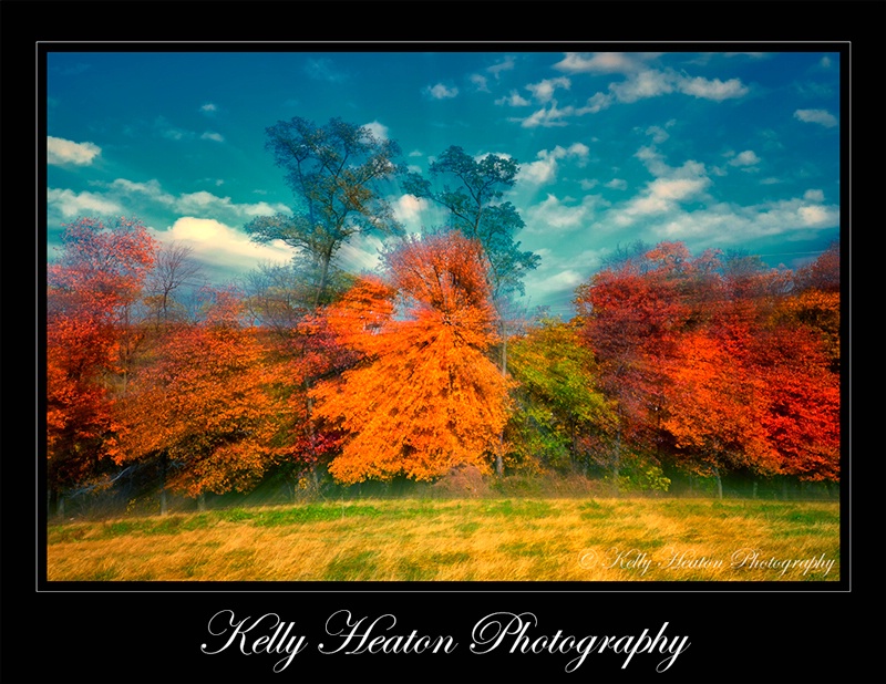 Autumn in Pennsylvania Zoom