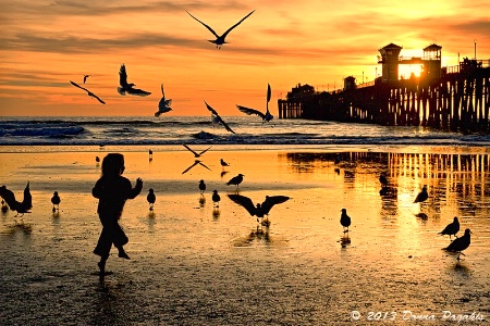 Excitement at the Pier