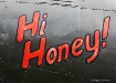 Hi Honey!