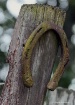 A Little Rusty on...