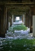 Under the Pier