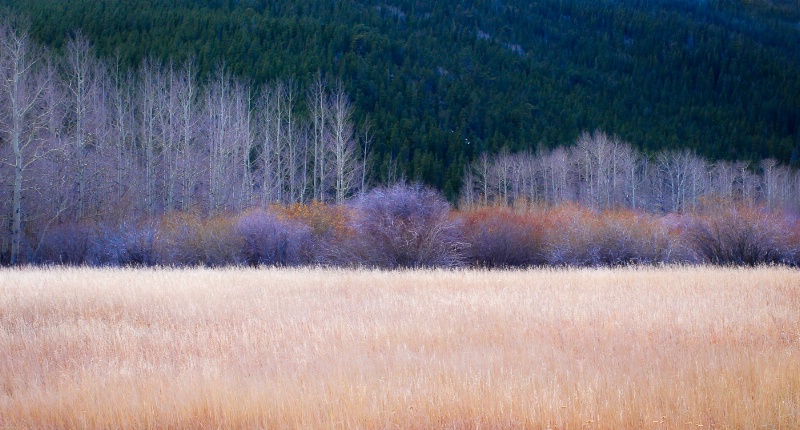 Late Fall at Caribou Mountain Ranch