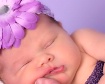 Chubby Cheeks