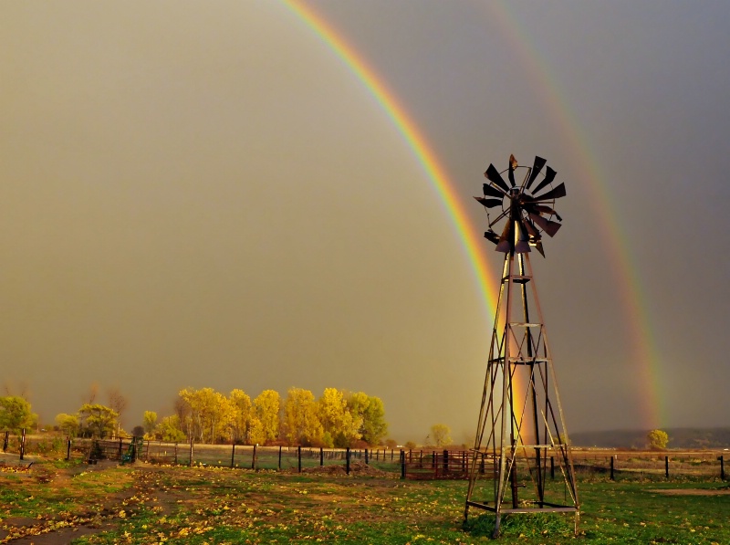 Sing A Rainbow