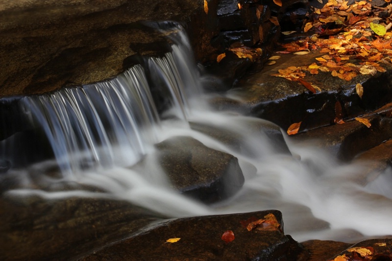 Autumn Stream - ID: 14240138 © Tammy M. Anderson