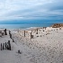 © Beth E. Higgins PhotoID# 14245082: Cold Storage Fences - Dennis