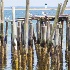 © Beth E. Higgins PhotoID# 14245213: Long Point Light - Provincetown