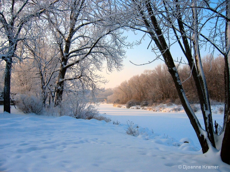 morning frost