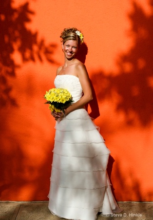 A Beautiful Bride, Wrapped In Shadows!