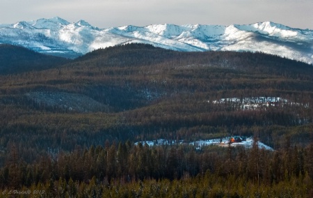 Home in the Mountains