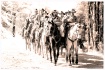 The Riders