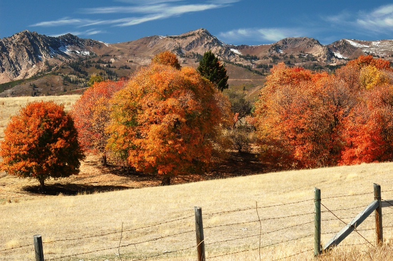 Wasatch Mt. Landscape, Utah