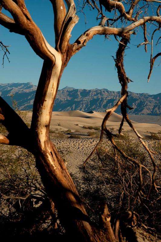 Sand Dunes