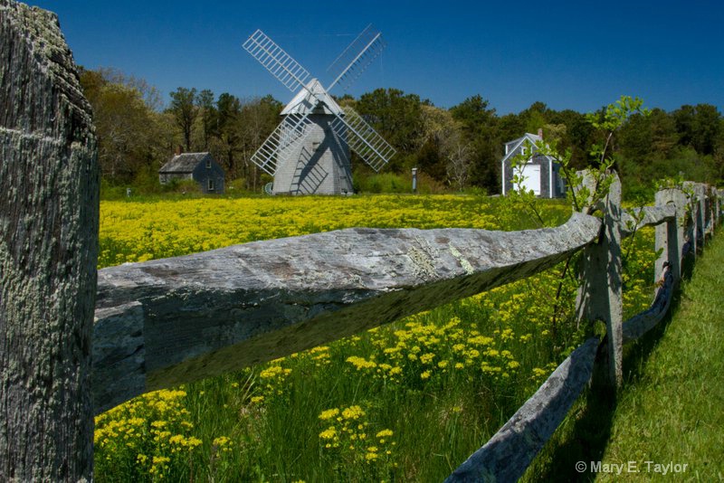 Windmill - ID: 14256227 © Mary E. Taylor