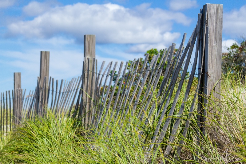 Beach Fence 1 - ID: 14256246 © Mary E. Taylor