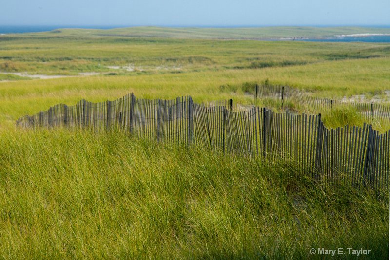 Fence and Grass - ID: 14256247 © Mary E. Taylor