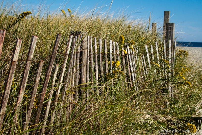 Beach Fence 2 - ID: 14256248 © Mary E. Taylor