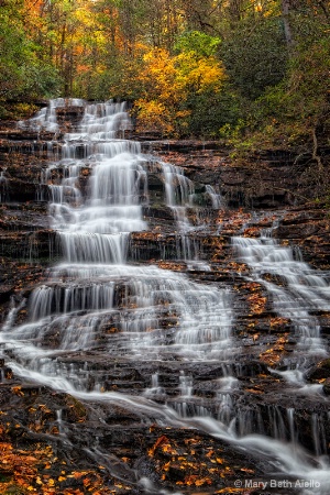 Beauty in the North Georgia Mountains