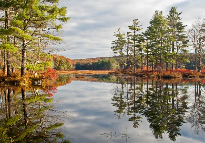 Harvard Pond, Petersham, MA - ID: 14257421 © Anne E. Ely