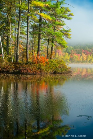 foggy morning reflection 2