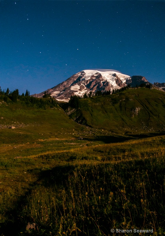 Mt Rainier & Big Dipper lit by the Full Moon