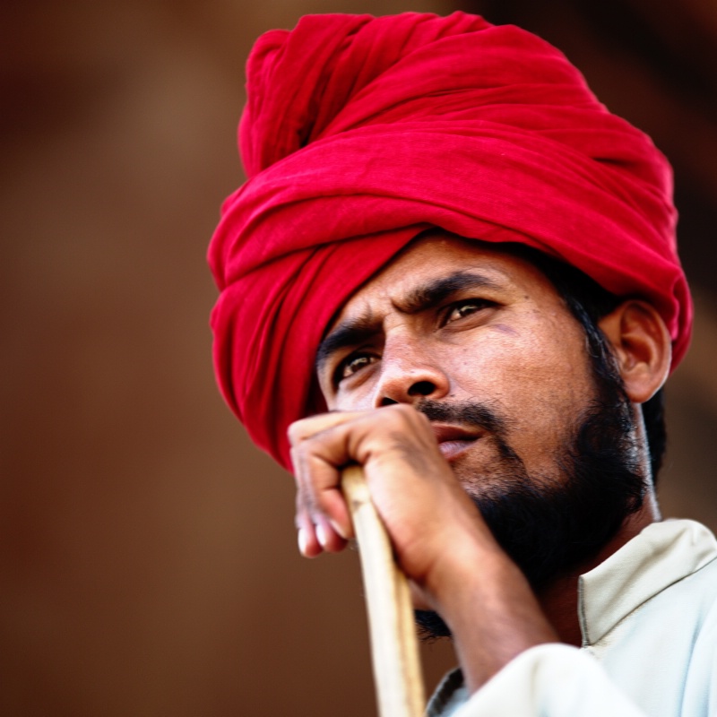 Mahood @ Jaipur, Rajasthan, India - ID: 14266631 © Magdalene Teo