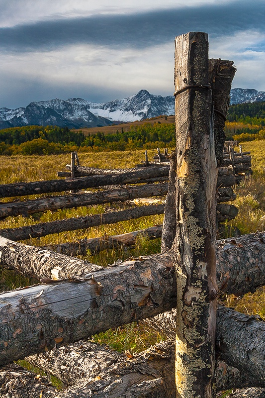 Fenceline