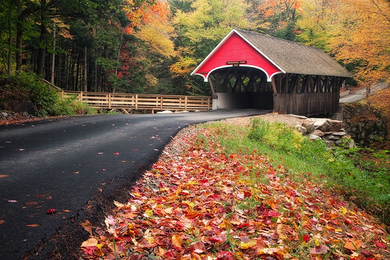 Beauty of Fall