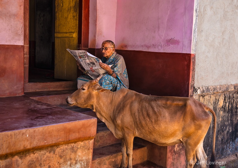 Reading the morning Paper, Gokarna, India    - ID: 14271270 © Jeff Lovinger