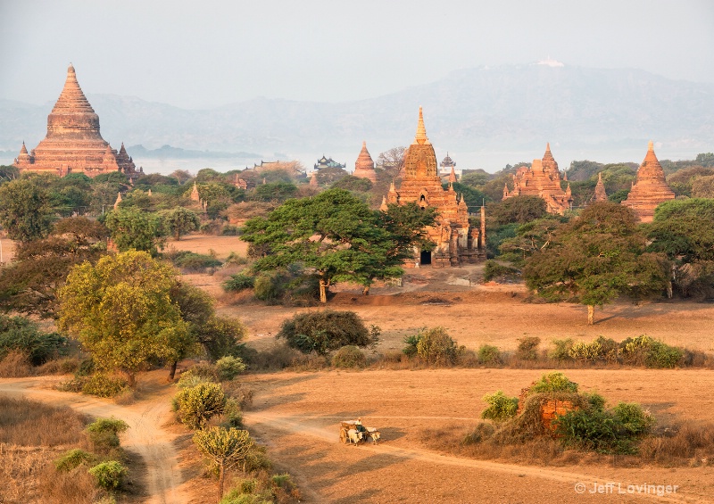 Bullock Cart and Temples, Bagan, Myanmar    - ID: 14271311 © Jeff Lovinger