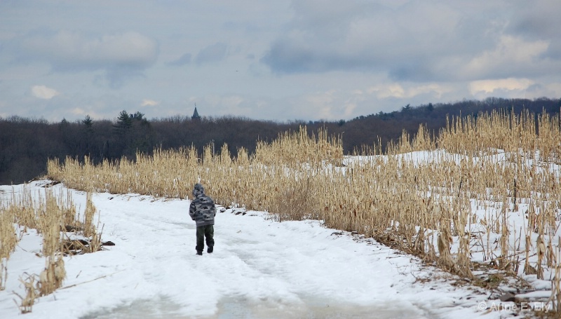 Winter walk - ID: 14271363 © Anne E. Ely