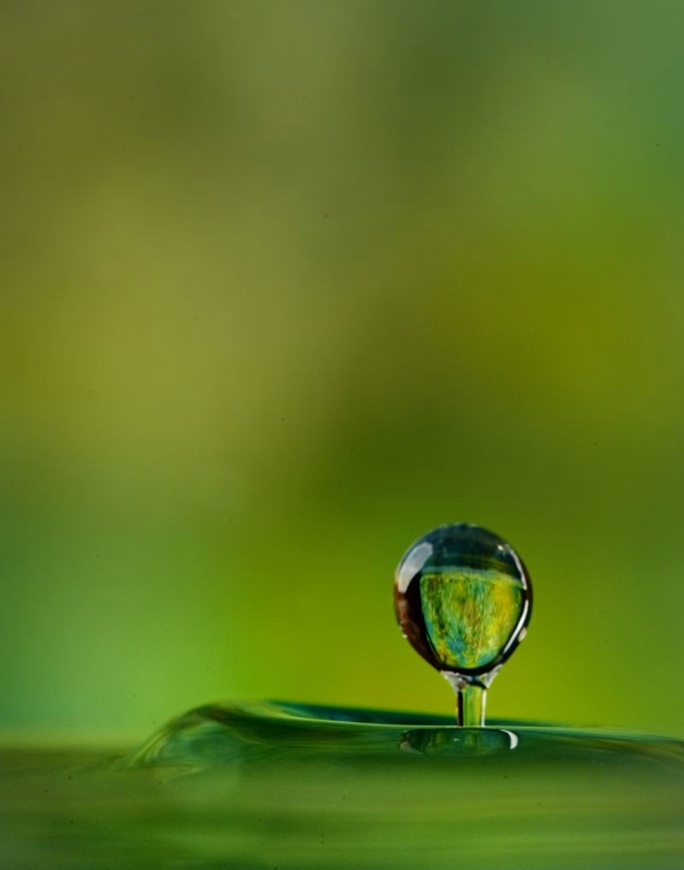 A Drop of Color