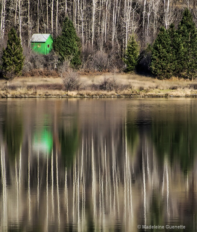 the-green-cabin